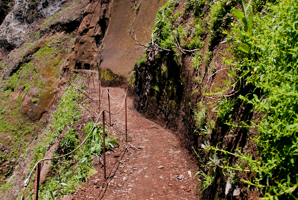 173_Madera_w drodze na Pico Ruivo.jpg